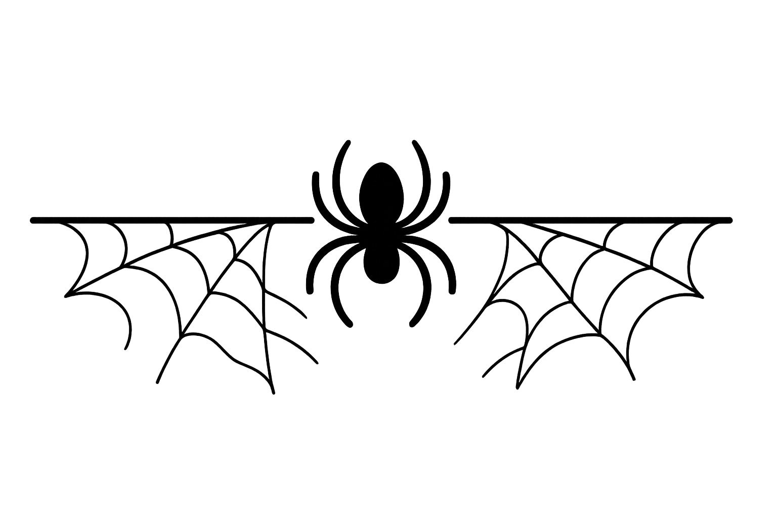 Spider Divider